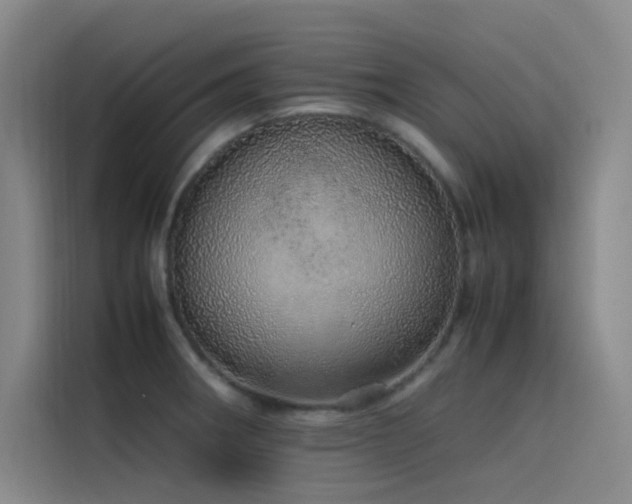 X0000116101282200911231118