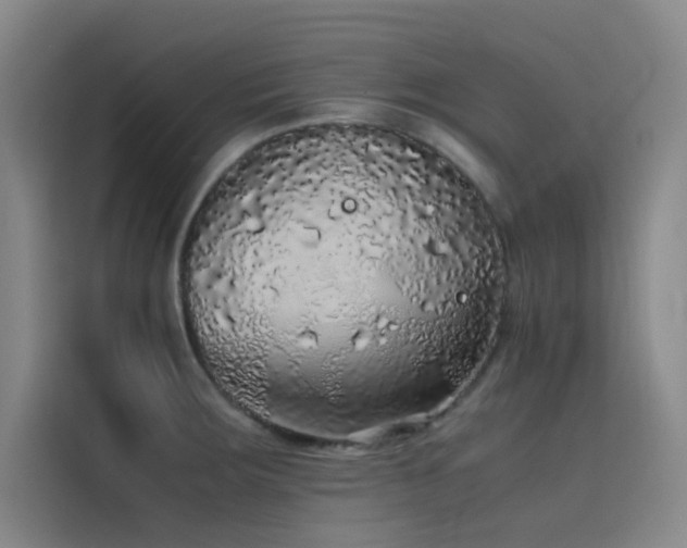 X0000116101283200911231118