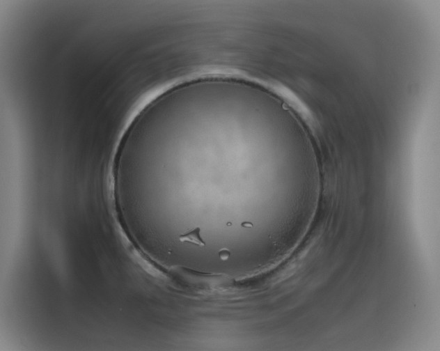 X0000116101287200911231118