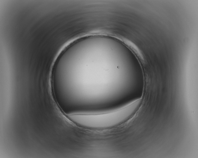 X0000116101288200911231118