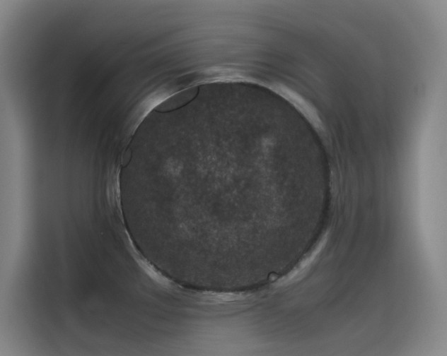 X0000116101289200911231118