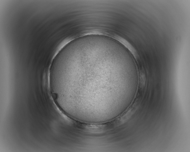 X0000116101290200911231118