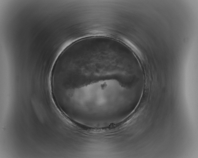 X0000116101291200911231118