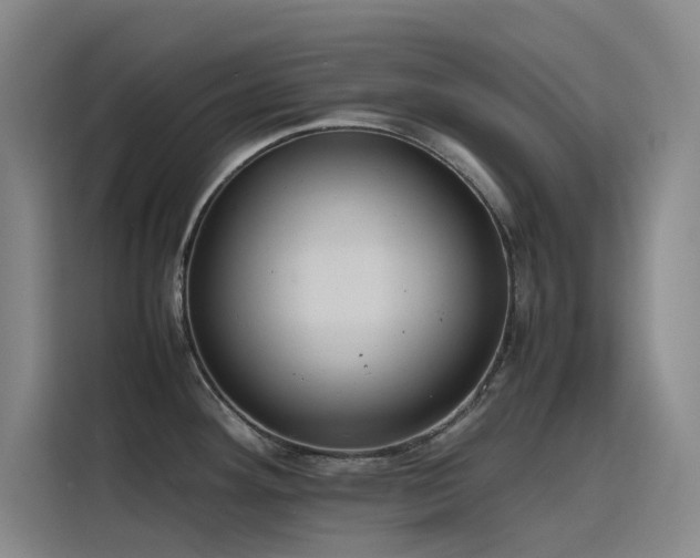 X0000116101292200911231118