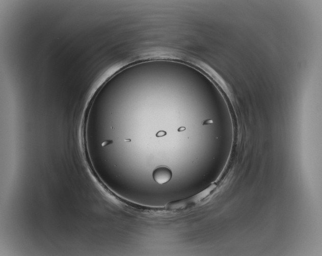 X0000116101293200911231118