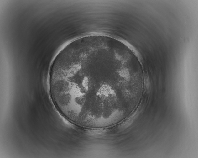 X0000116101294200911231118