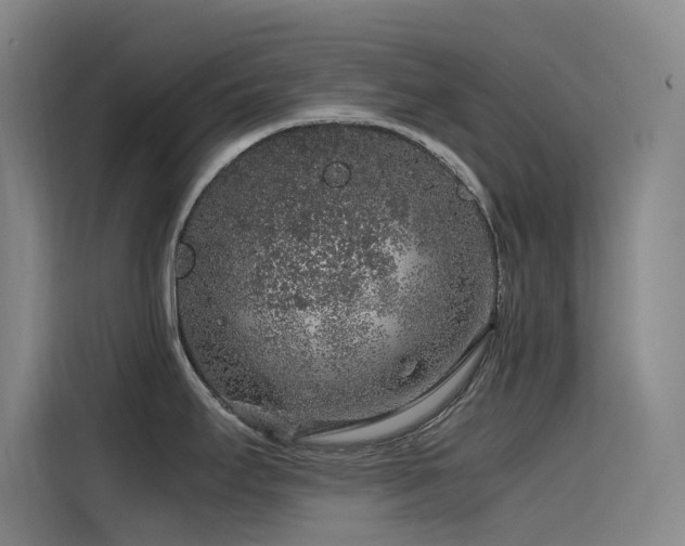 X0000116101295200911231118