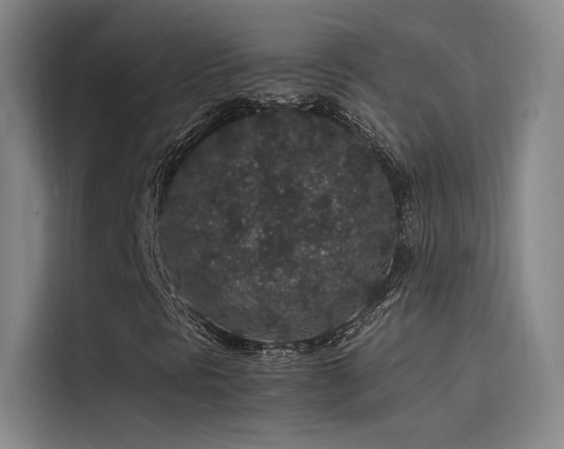 X0000116101297200911231117