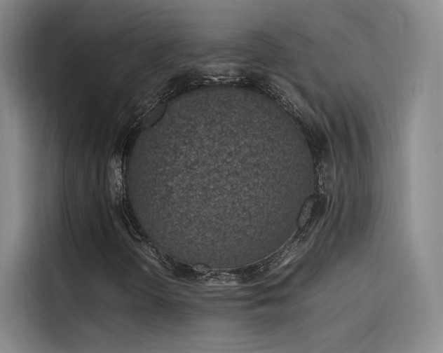 X0000116101298200911231117