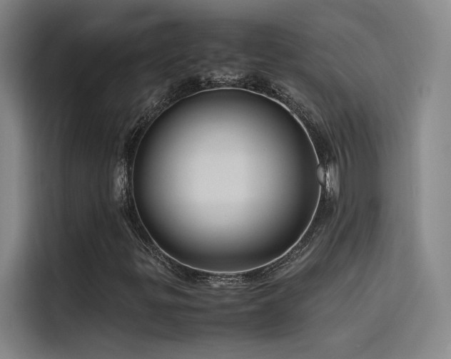 X0000116101299200911231117