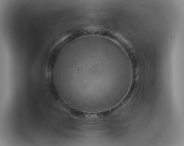 X0000116101302200911231117