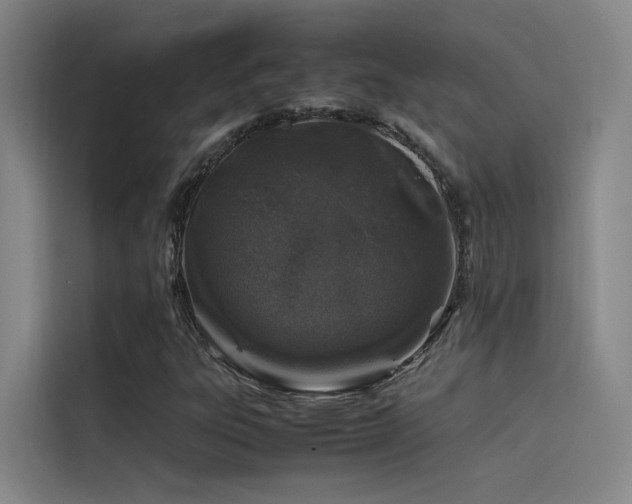 X0000116101303200911231117