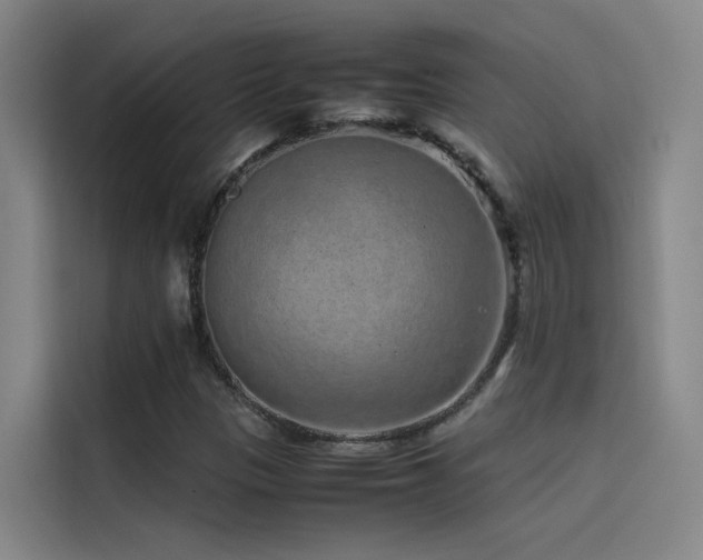 X0000116101305200911231117
