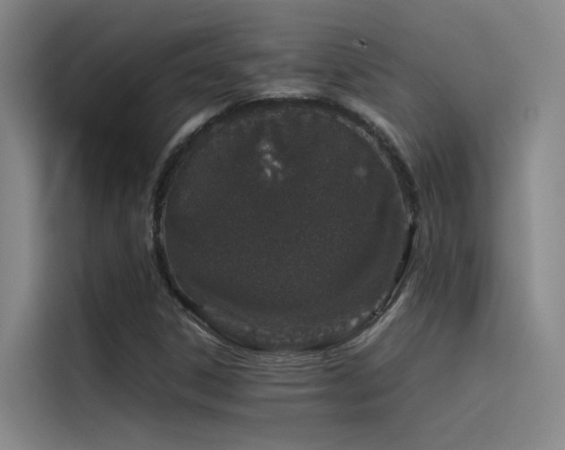 X0000116101306200911231117