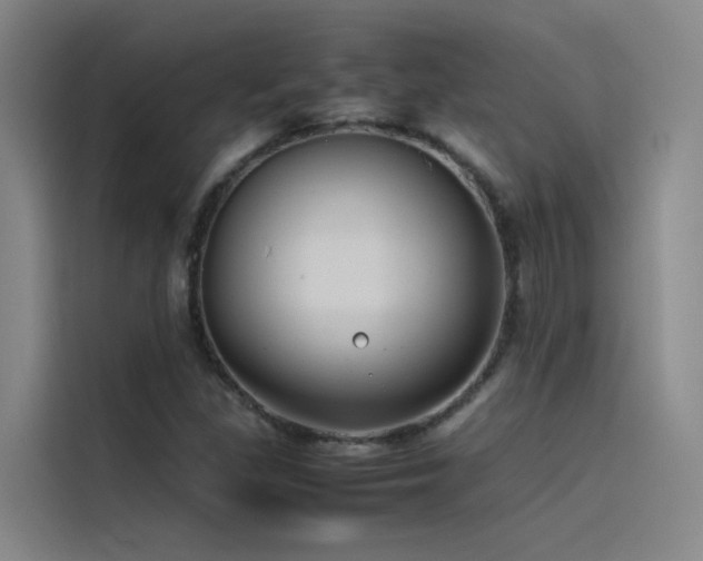 X0000116101309200911231117