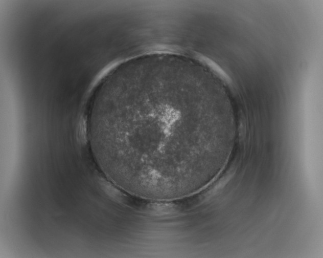 X0000116101310200911231117
