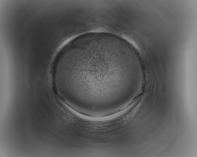 X0000116101311200911231117