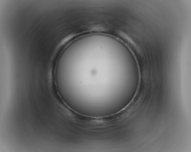 X0000116101315200911231117