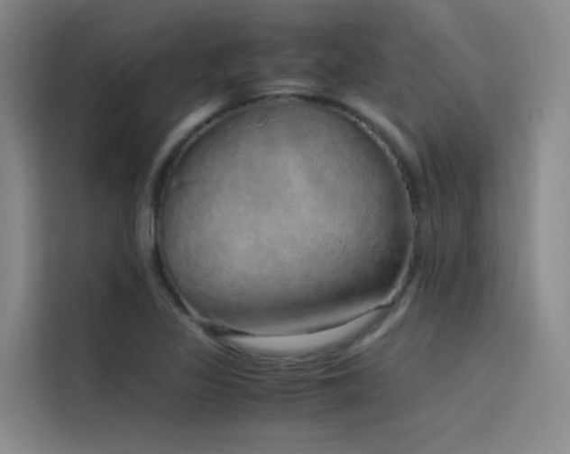 X0000116101317200911231117