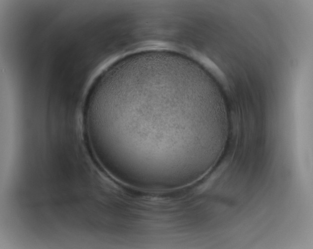 X0000116101318200911231117