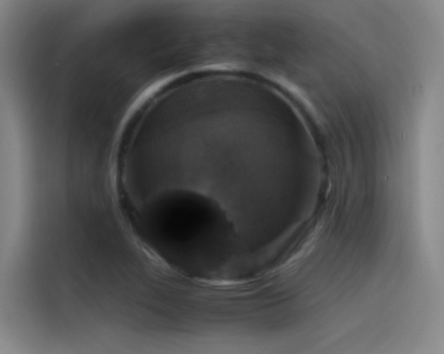 X0000116101319200911231117