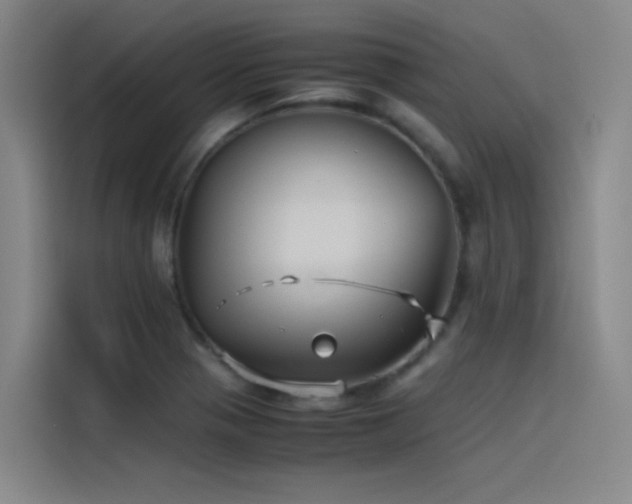 X0000116101321200911231117
