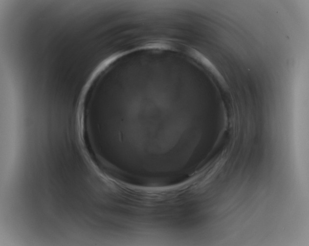 X0000116101323200911231117