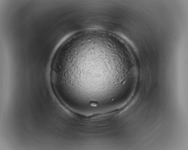 X0000116101325200911231118