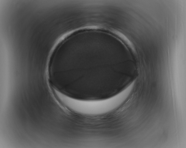 X0000116101327200911231118