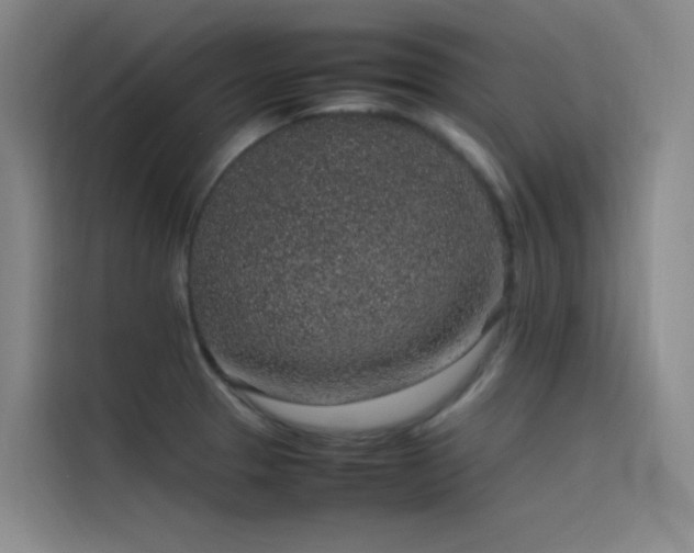 X0000116101329200911231118