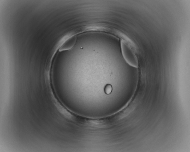 X0000116101330200911231118