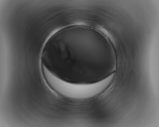 X0000116101331200911231118