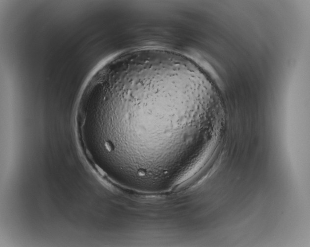 X0000116101333200911231118