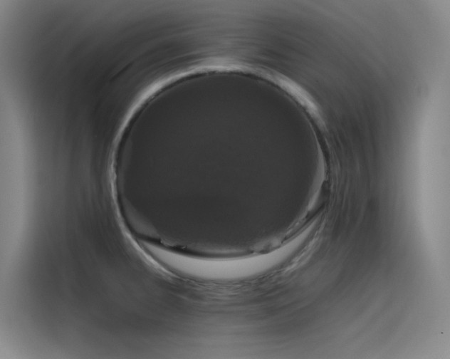 X0000116101334200911231118