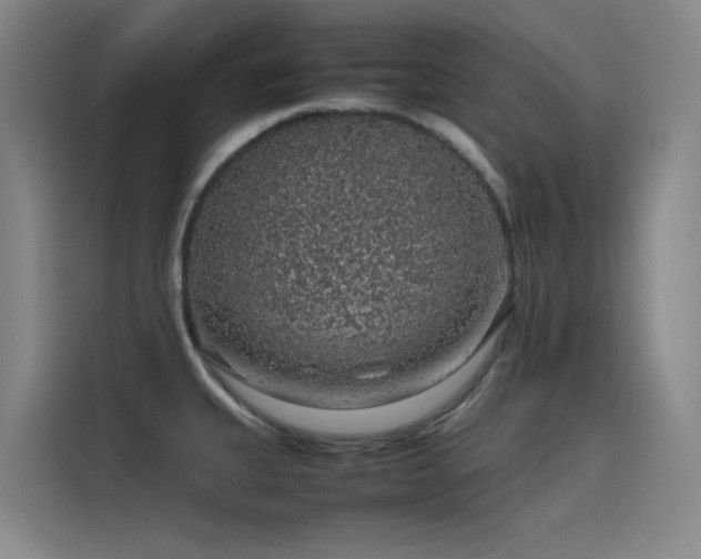 X0000116101335200911231118