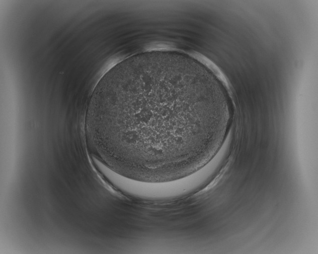 X0000116101337200911231118