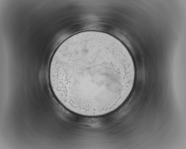 X0000116101338200911231118
