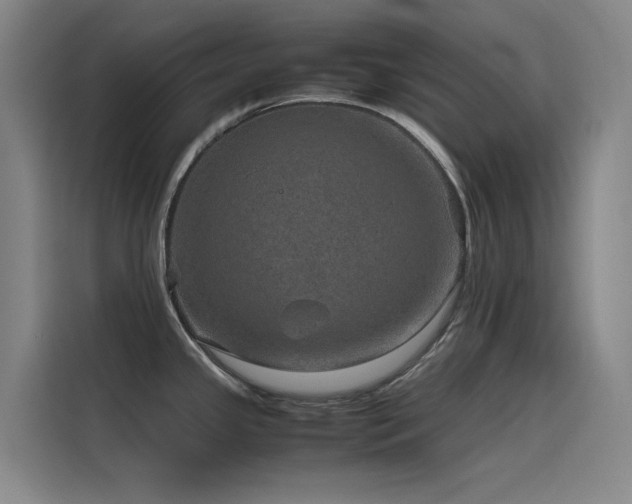 X0000116101341200911231118