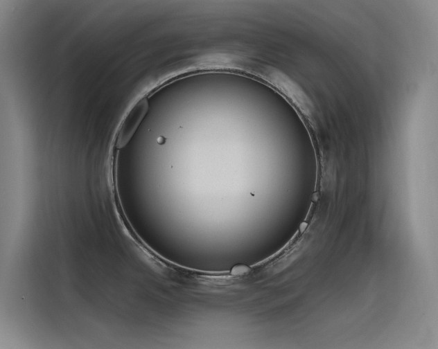 X0000116101342200911231118