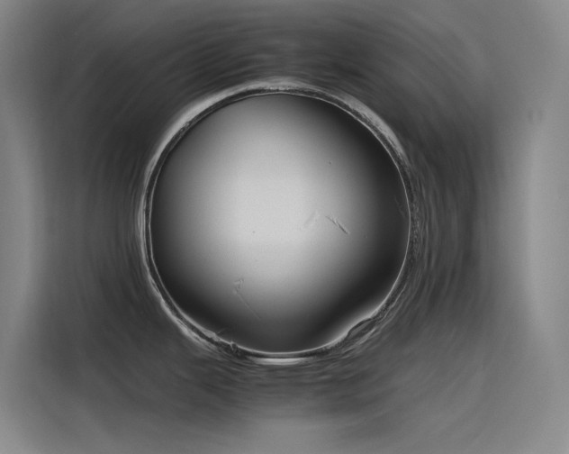 X0000116101343200911231118