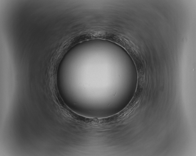 X0000116101345200911231117