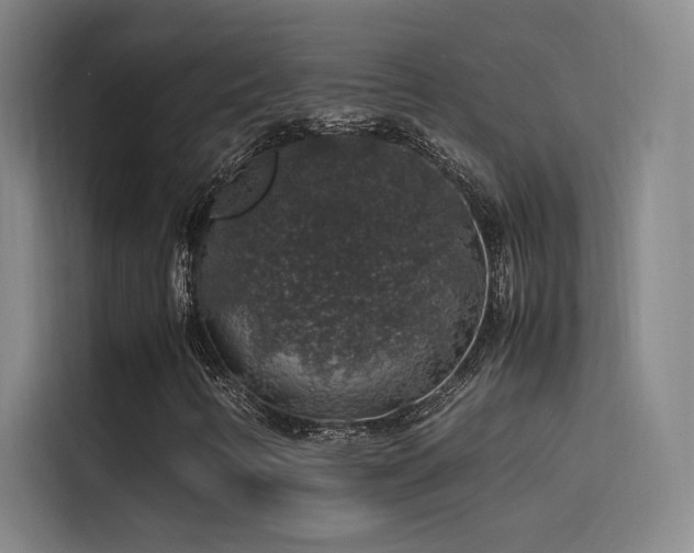 X0000116101346200911231117