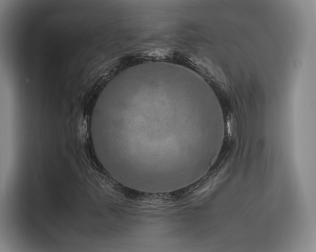 X0000116101347200911231117