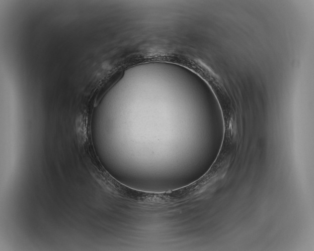 X0000116101348200911231117