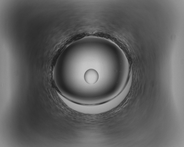 X0000116101349200911231117