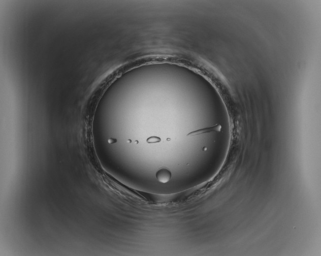 X0000116101352200911231117