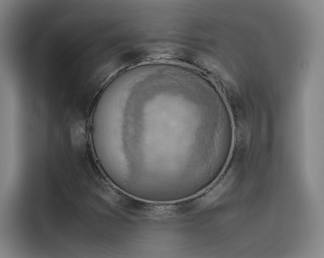 X0000116101353200911231117