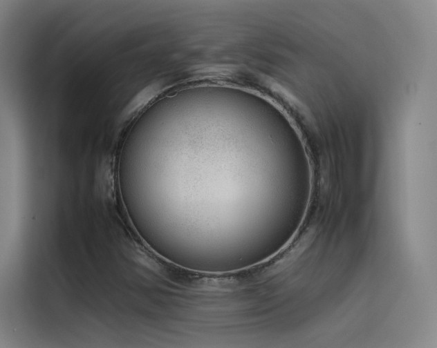 X0000116101354200911231117