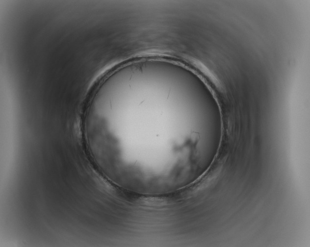 X0000116101356200911231117