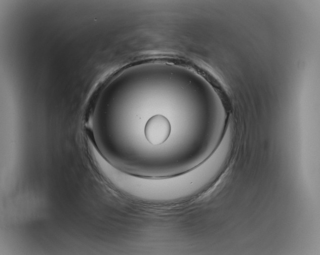 X0000116101357200911231117